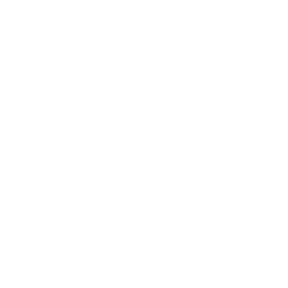 Robot Coupe